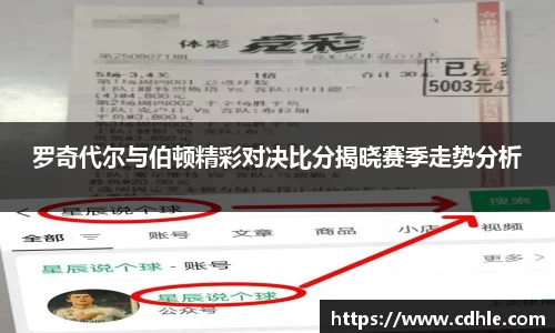 罗奇代尔与伯顿精彩对决比分揭晓赛季走势分析